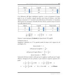 Problemi di Logica Matematica (Problem Solving) - PDF
